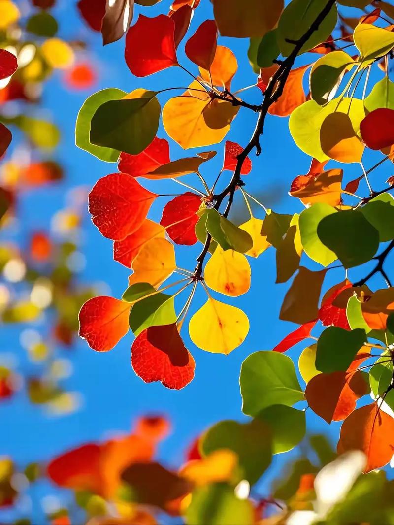 立秋護(hù)陽(yáng)氣，調(diào)養(yǎng)正當(dāng)時(shí)：男性性功能調(diào)養(yǎng)指南